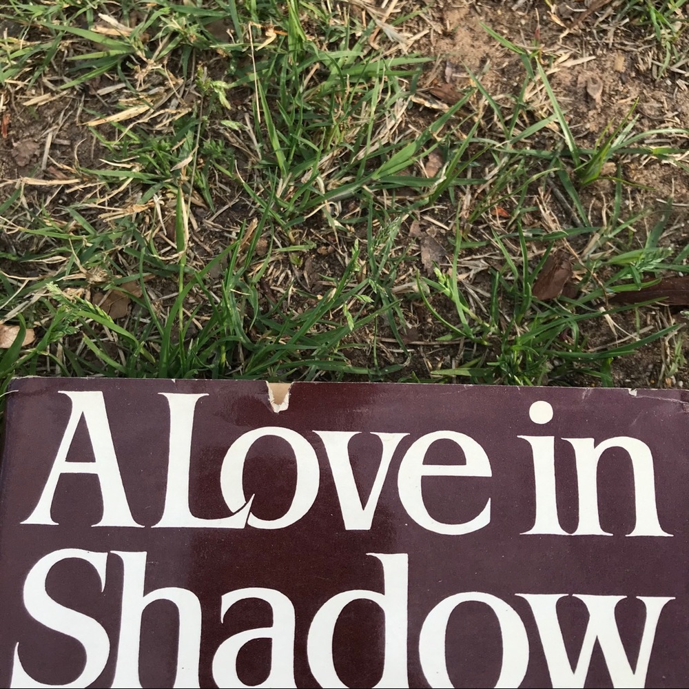 A Love In Shadow book - Picture 2 of 11